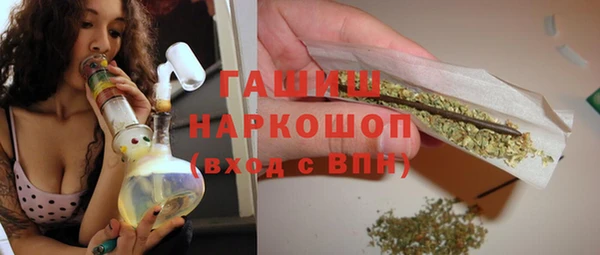 гидра Каменногорск