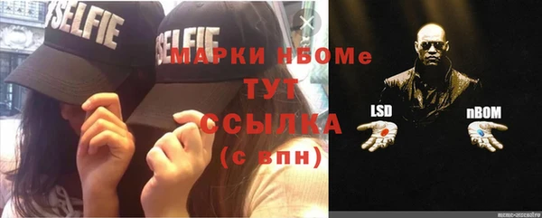 гидра Каменногорск