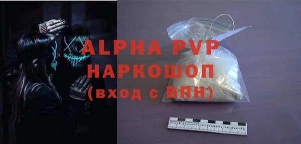 гидра Каменногорск
