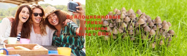 амфетамин Каменка