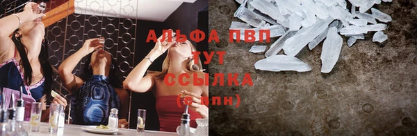 гидра Каменногорск