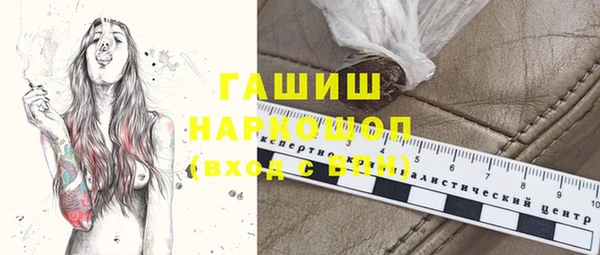 гидра Каменногорск