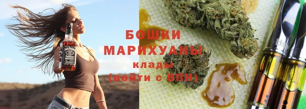 гидра Каменногорск