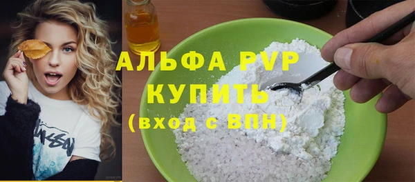 гидра Каменногорск