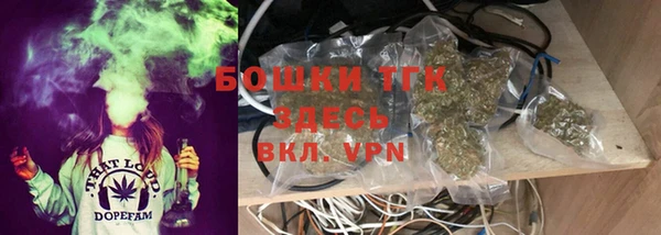 гидра Каменногорск
