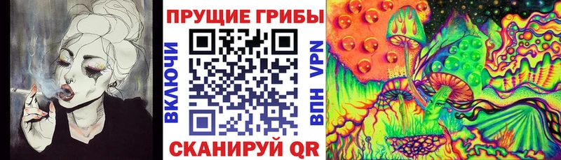 Купить  Кораблино  Галлюциногенные грибы GOLDEN TEACHER 